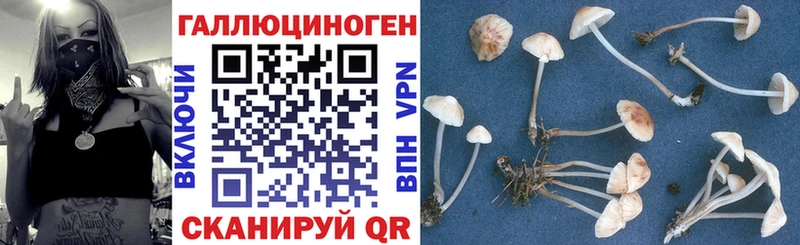 Галлюциногенные грибы ЛСД  Майский 